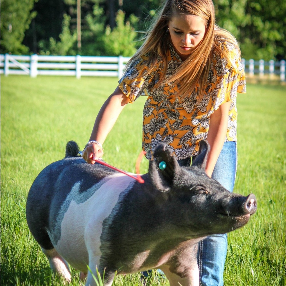 Meet your Posher, Mattea